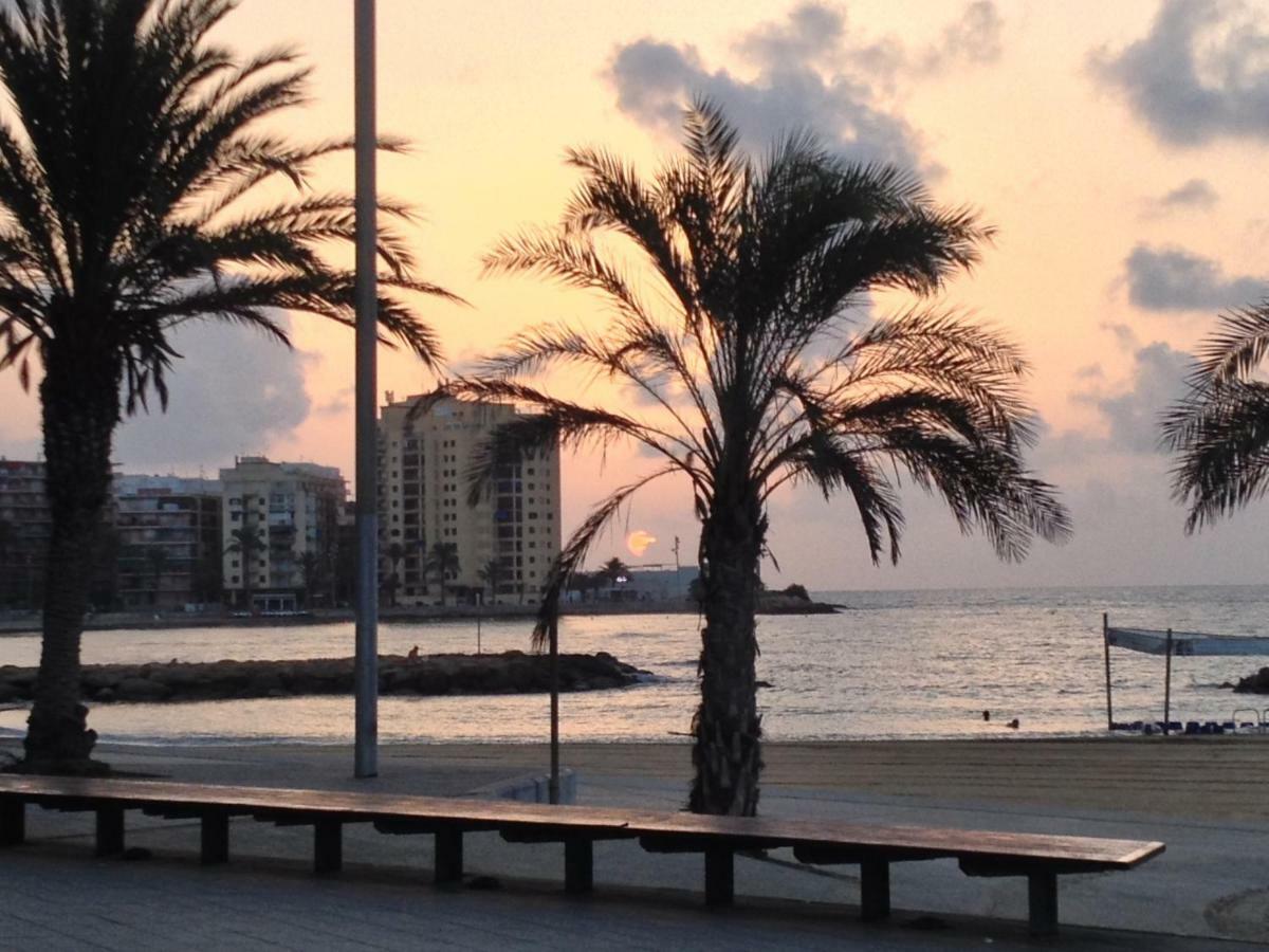 Studio de 23 m² en Appartement avec 1 salle Torrevieja Extérieur photo